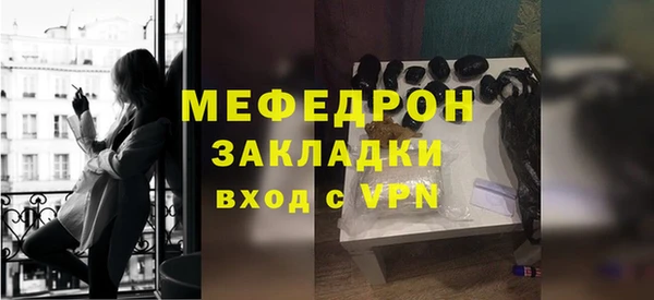 индика Богородицк