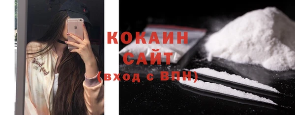 индика Богородицк