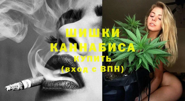 индика Богородицк