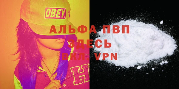 гашиш Богданович