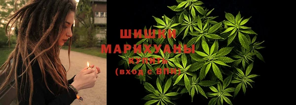 прущая мука Бородино