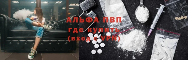 индика Богородицк