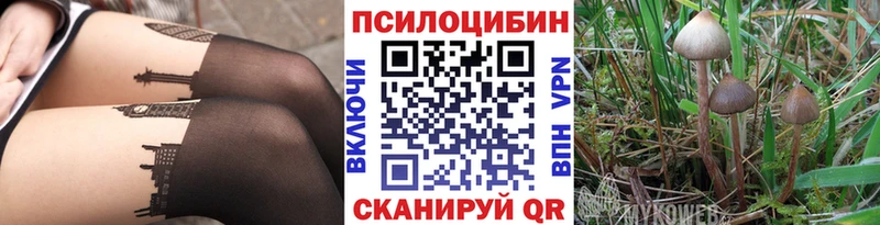Галлюциногенные грибы Psilocybe  Купить где  Шумерля 